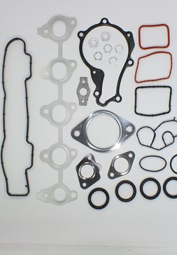 LP 10.513 PEUGEOT 1600cc 16V.(DW6) EXPERT-PARTNER HDI (EM) MOTOR TAKIM CONTA