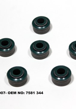LS 19.007 FİAT 1200cc 8V.PALİO (EM) SUBAP KEÇESİ 7mm