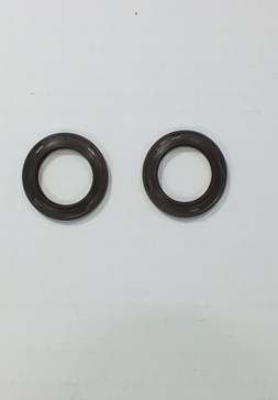 LS28x42x5 RENAULT 1600cc 16V.MEGANE (K4M) EXANTRİK KEÇESİ