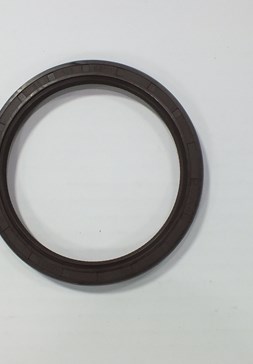LS 19.202 RENAULT 1700cc R11-R19 KRANK ARKA KEÇE